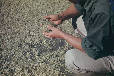 A man making malt sugar