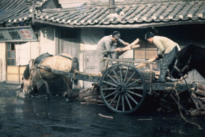 Seoul unloading firewood