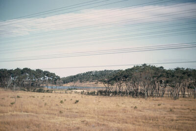 Suwon a field with trees