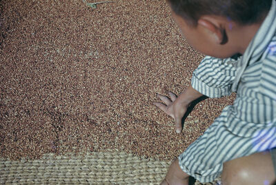 A kid with sorghum grain