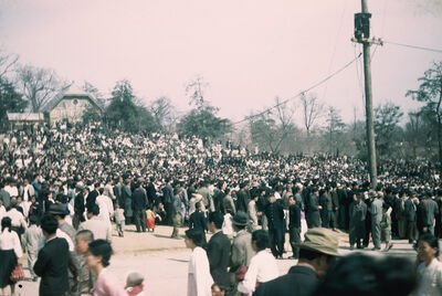 spectators at a park
