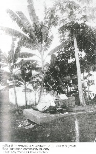 농장마을 공동빨래터에서 세탁하는 여인，에바농장(1908) Ewa Plantation community laundry -Mrs. Kelly Yoon Ock.Kim Collection