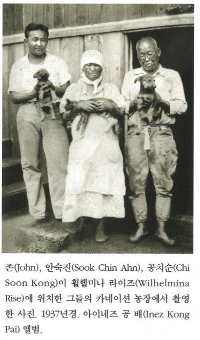 존(John), 안숙진(Sook Chin Ahn), 공치순(Chi Soon Kong)이 휠헬미나 라이즈(Whilhelmina Rise)에 위치한 그들의 카네이션 농장에서 촬영한 사진. 1937년경. 아이네즈 공 배(Inez Kong Pai) 앨범.