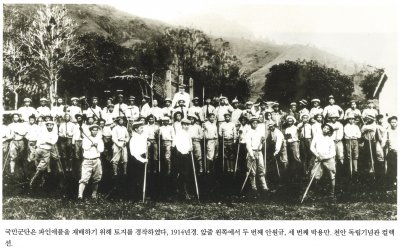 국민군단은 파인애플을 재배하기 위해 토지를 경작하였다, 1941년경. 앞줄 왼쪽에서 두 번째 안원규, 세 번째 박용만. 천안 독립기념관 컬렉션.