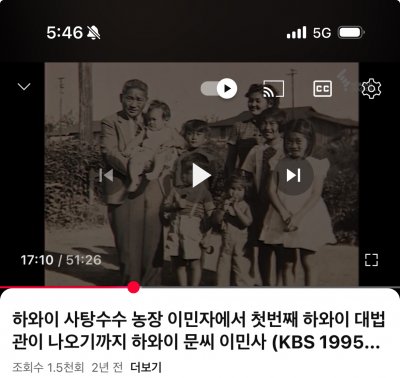 이민 2세대 성공스토리