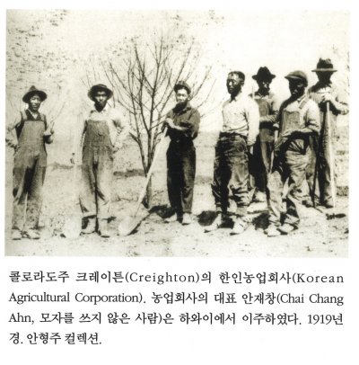 콜로라도주 크레이튼(Creighton)의 한인농업회사(Korean Algricultural Copertaion). 농업회사의 대표 안재창(Chai Chang Ahn, 모자를 쓰지 않은 사람)은 하와이에서 이주하였다. 1919년경. 안형주 컬렉션.