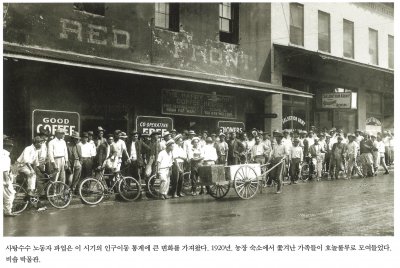 사탕수수 노동자 파업은 이 시기의 인구이동 통계에 큰 변화를 가져왔다. 1920년. 농장 숙소에서 쫓겨난 가족들이 호놀롤루로 모여들었다. 비숍 박물관.